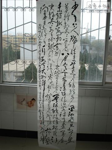 DSC02647.JPG
