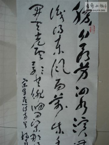 DSC02653.JPG