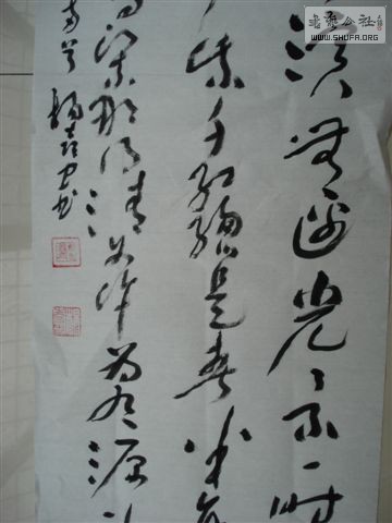 DSC02654.JPG