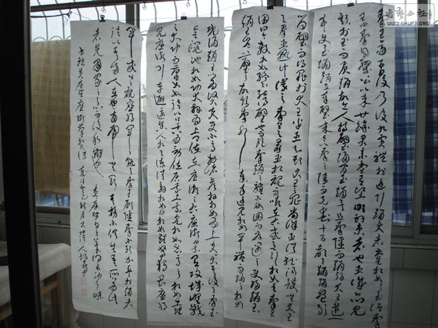 DSC02661.JPG