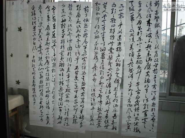 DSC02663.JPG