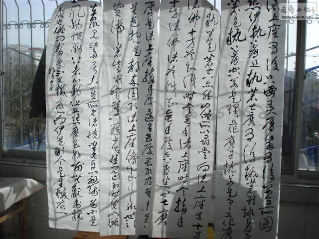DSC02681.JPG