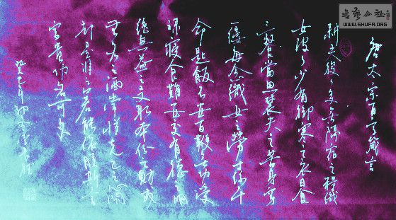 DSC01742a.jpg