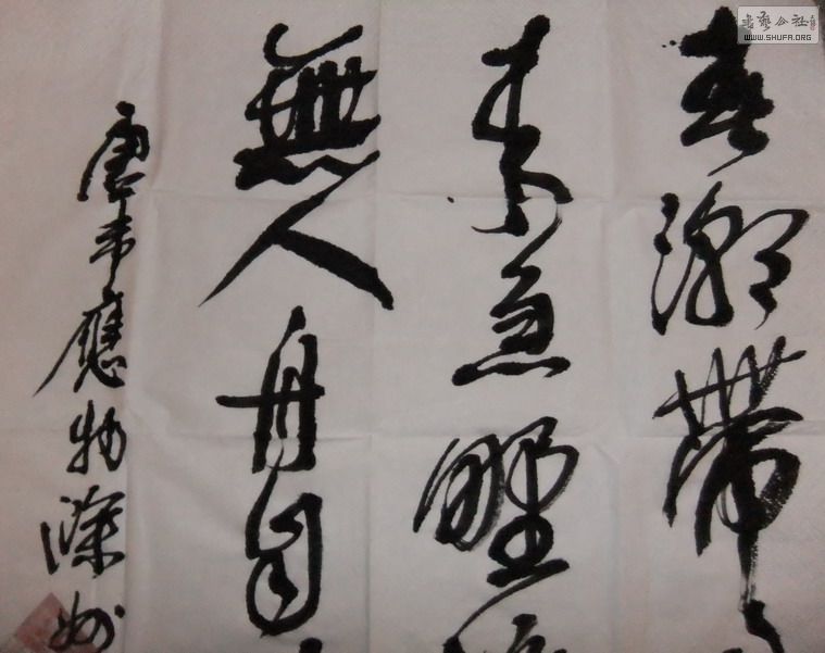 DSCF1972.jpg