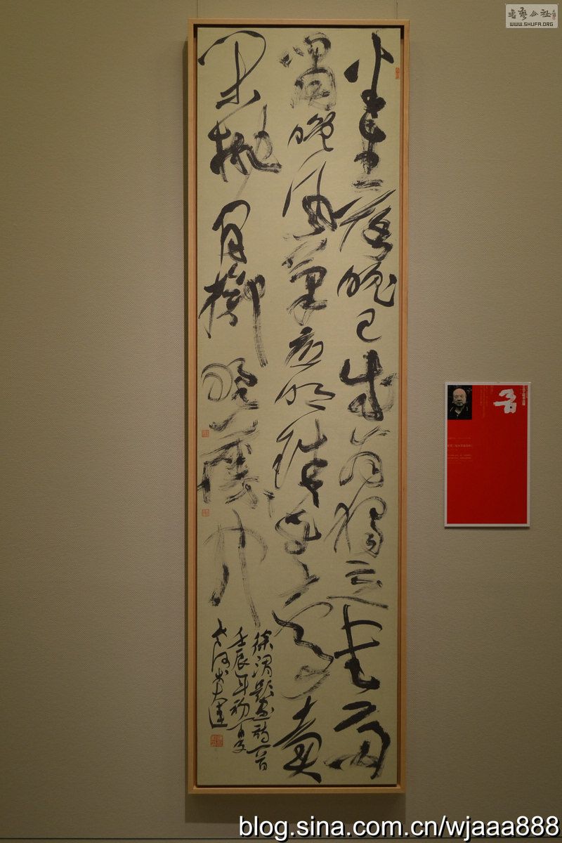DSC_0407.jpg