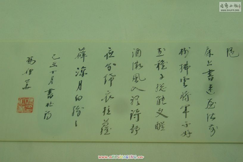 P49.JPG