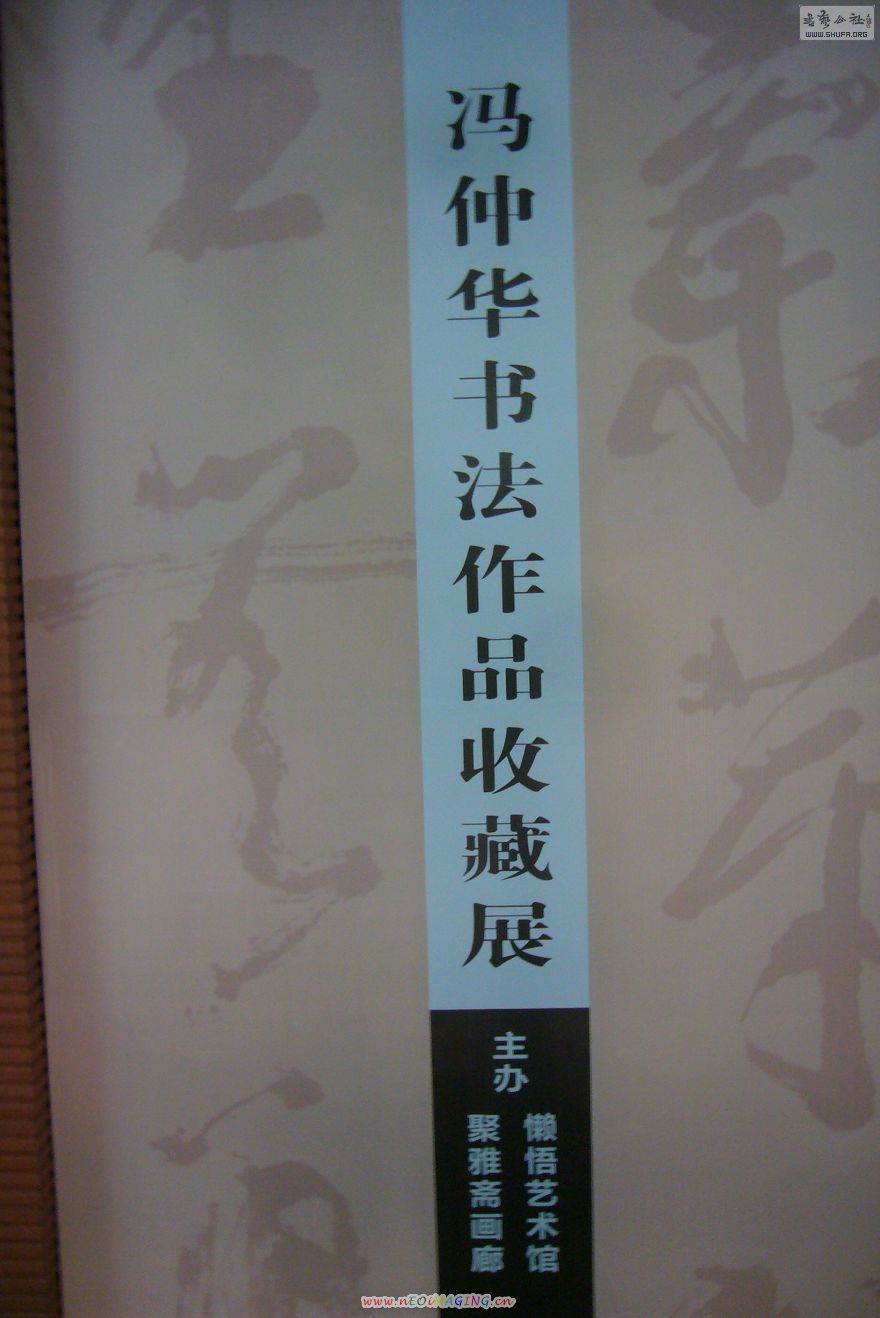 P4.JPG