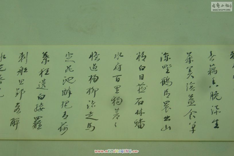 P46.JPG