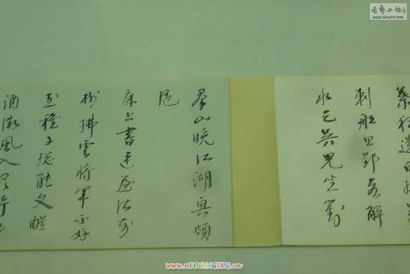 P48.JPG