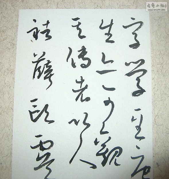 Ƭ 18211.jpg