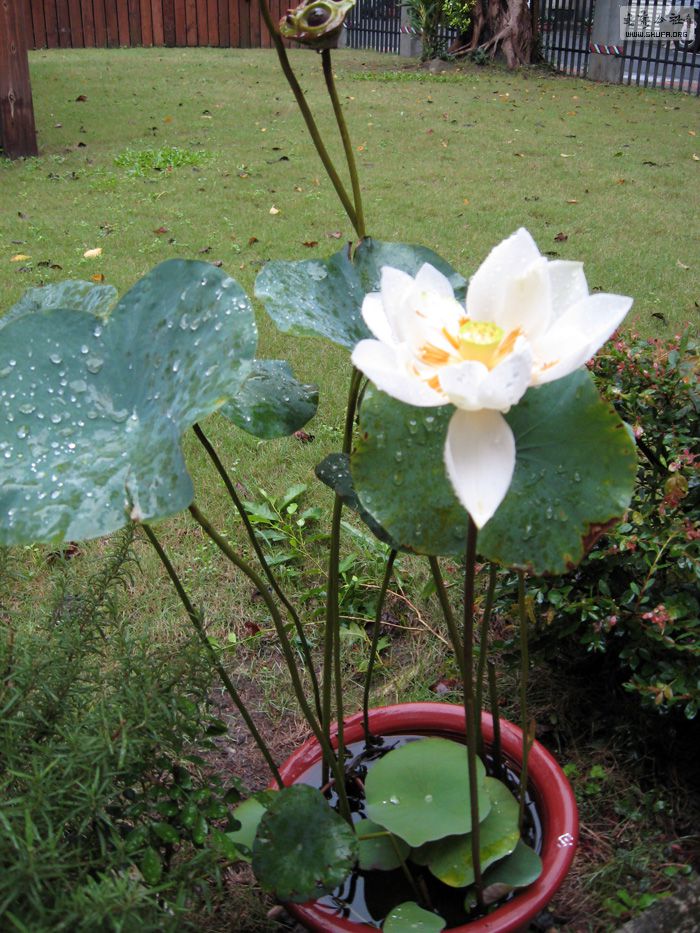 image043.jpg