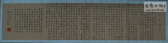DSC02714Ž.jpg