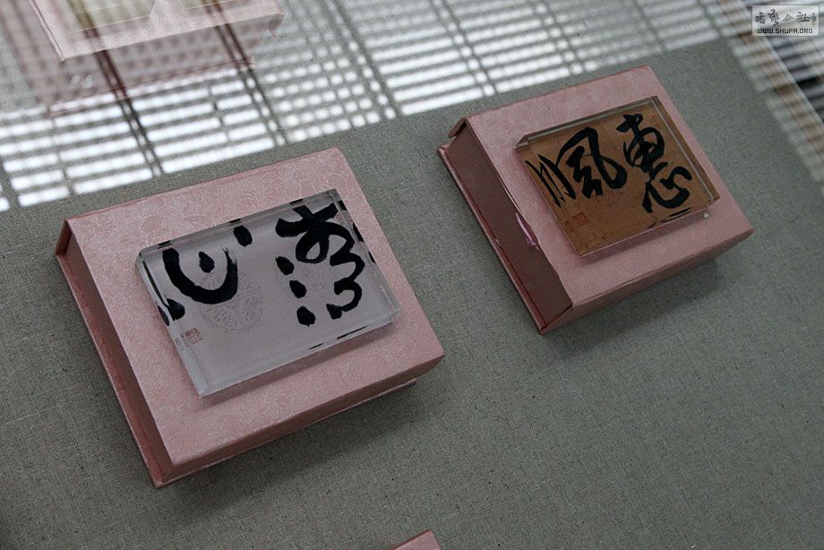 _MG_5043 ѫ鷨ƷزƷ.jpg