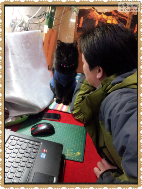 IMG_20131111_4.png