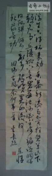 DSC03078.jpg
