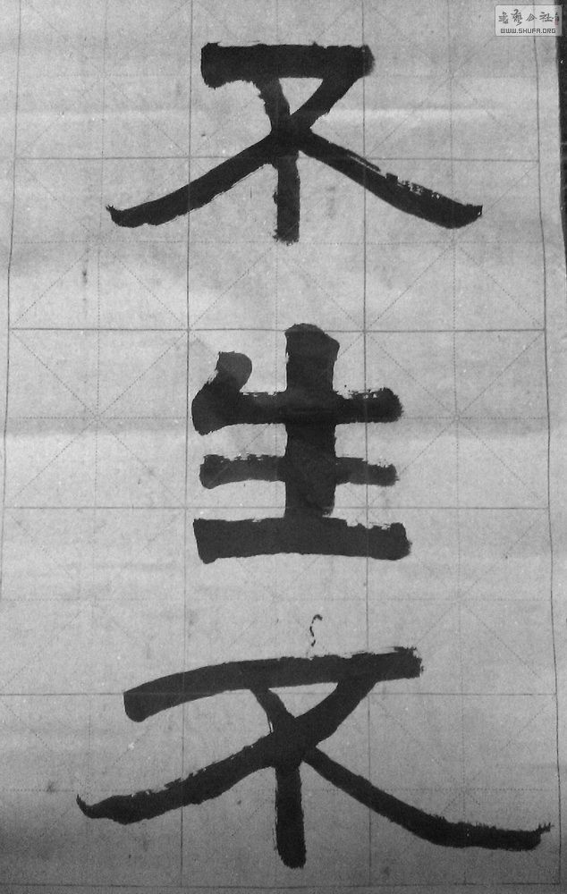 IMAG3906.jpg