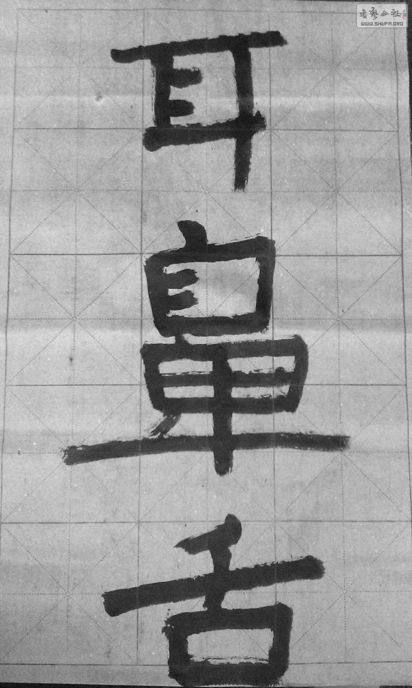IMAG3895.jpg