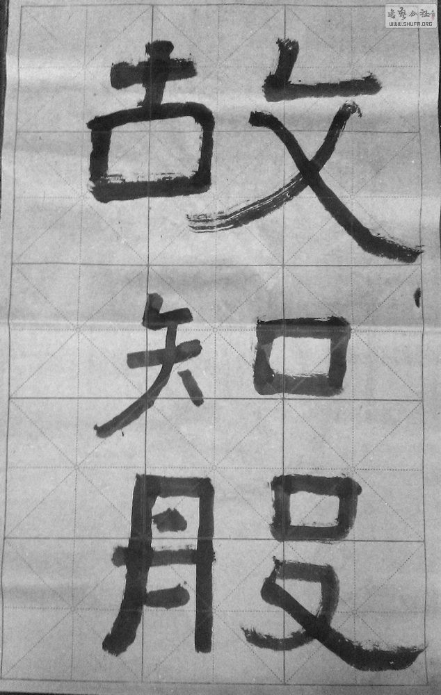 IMAG3847.jpg
