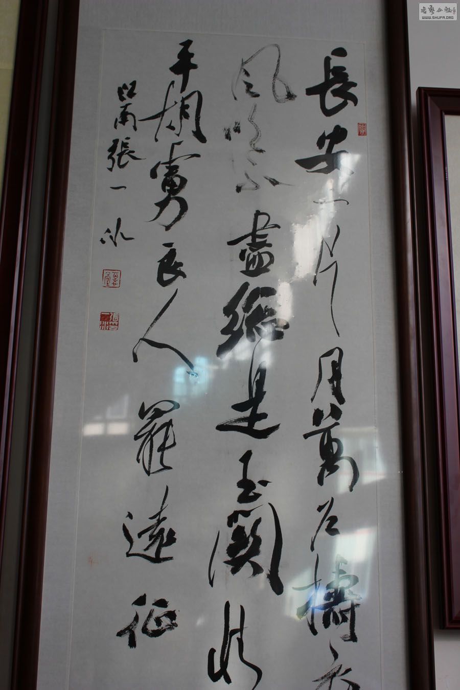 IMG_7380.JPG