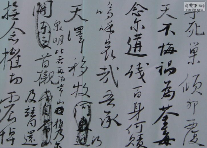 DSC05753.JPG