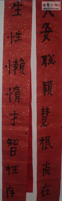 DSC02869__.jpg