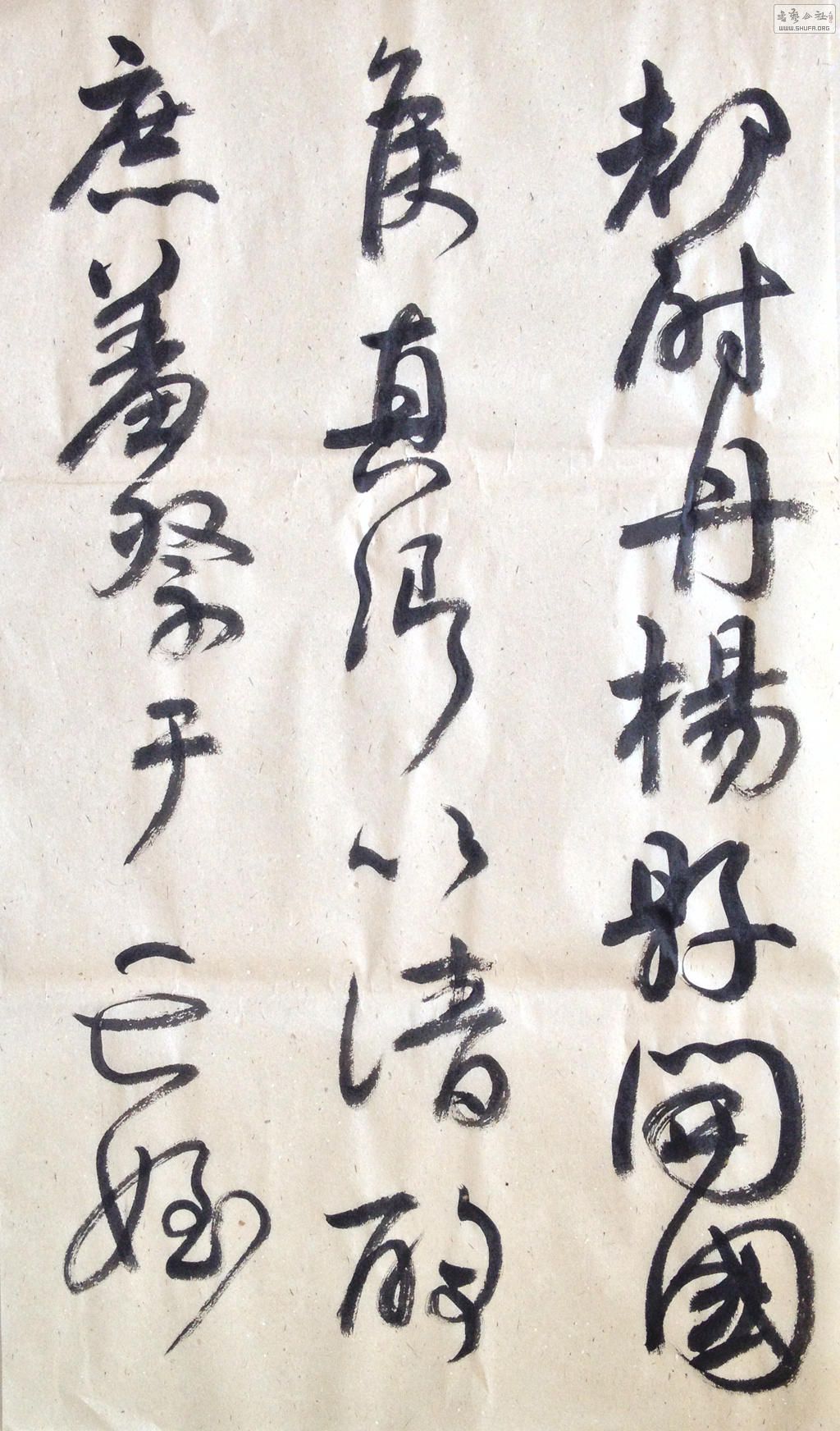103.jpg