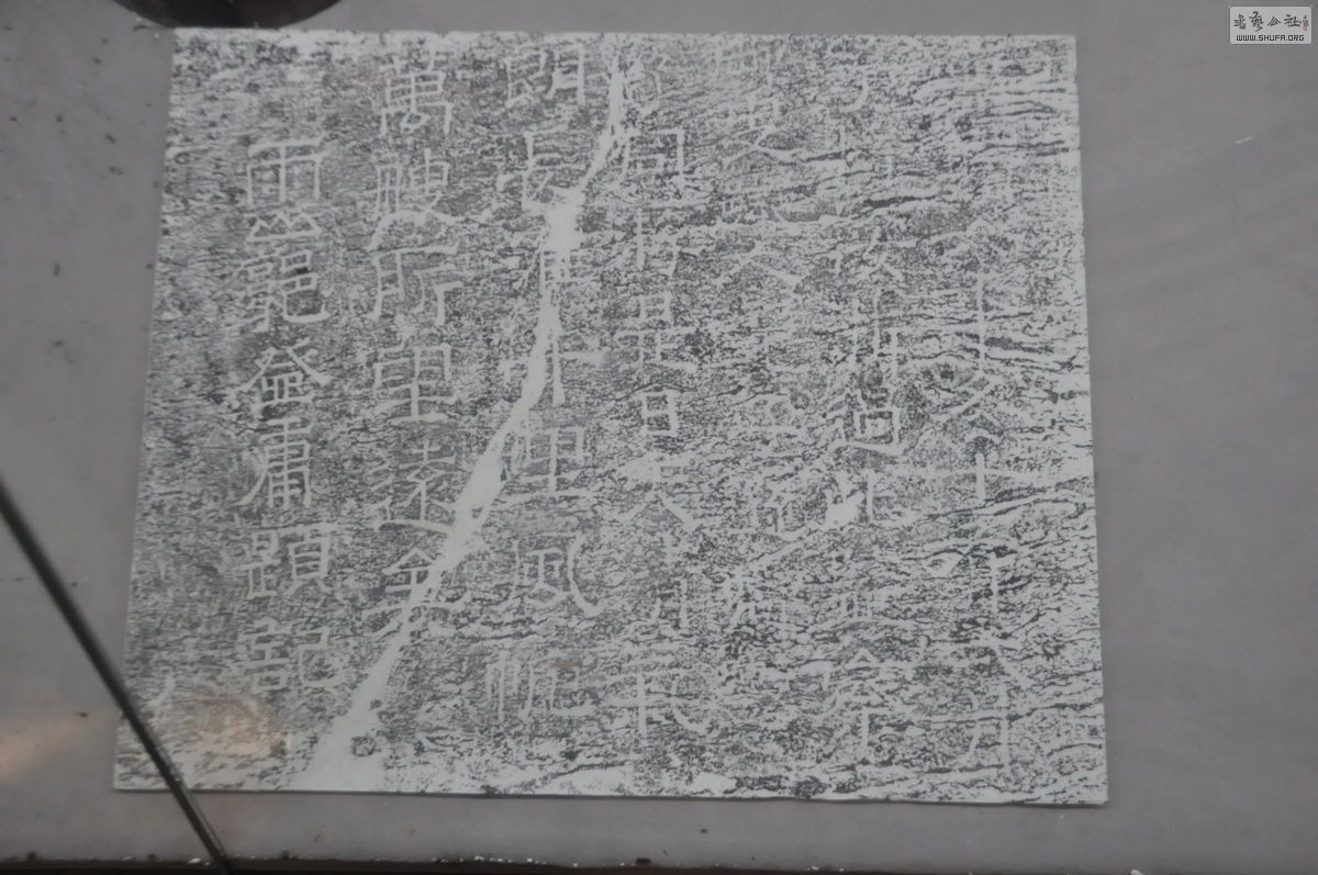 DSC_0348.jpg