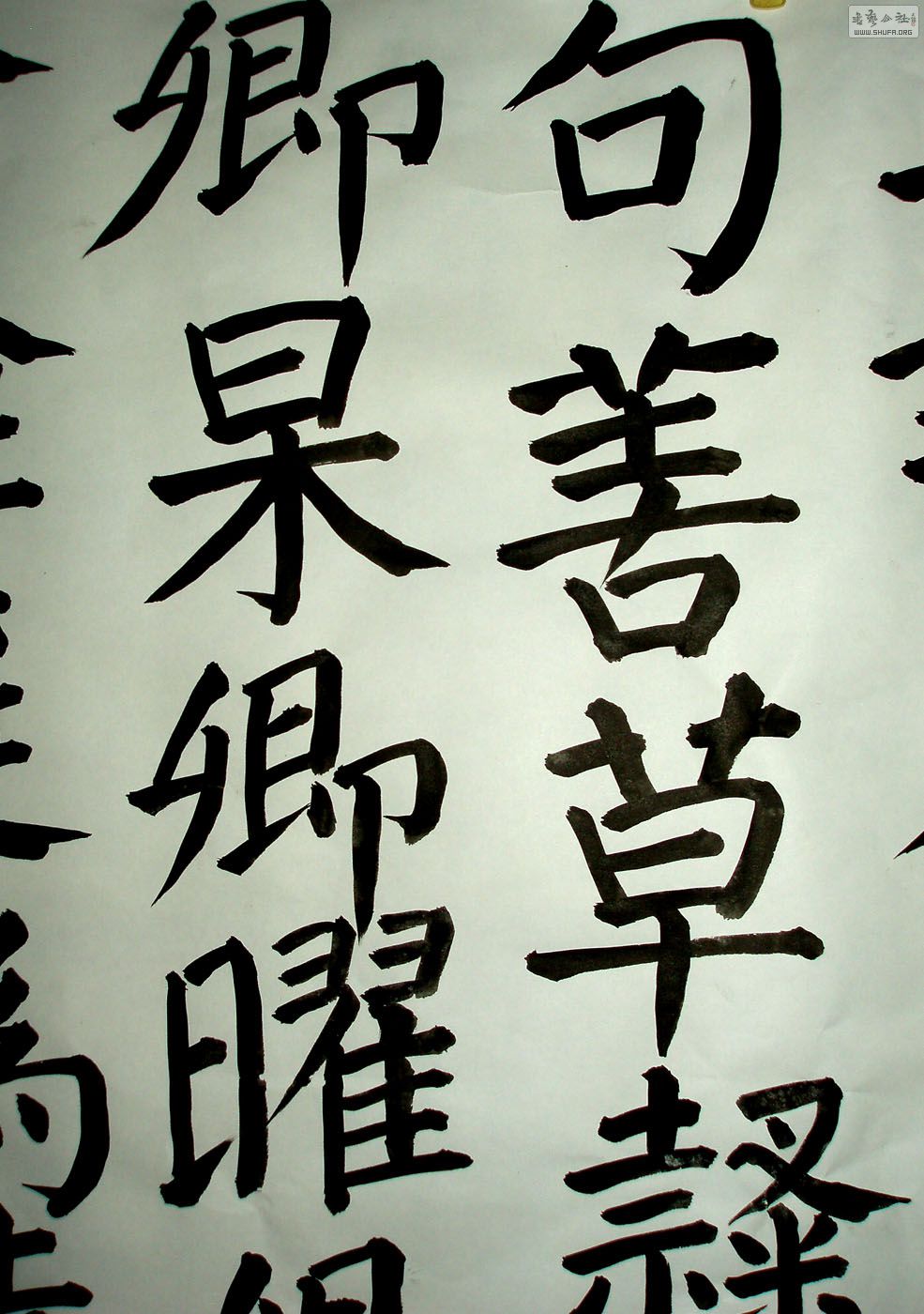 P3140009.JPG