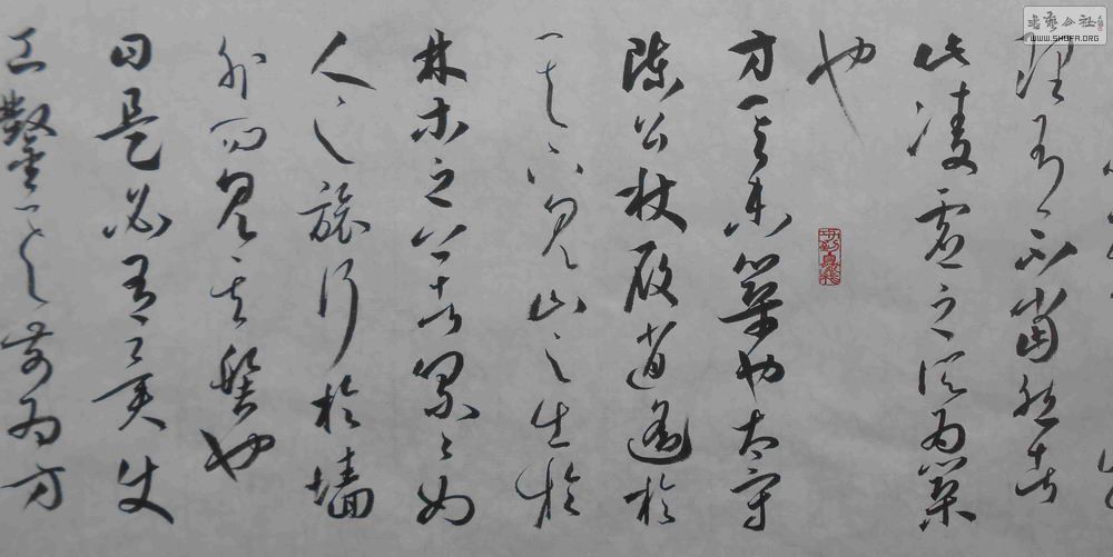 DSCN2001.jpg