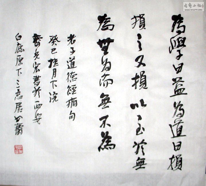 ޱ--08.jpg