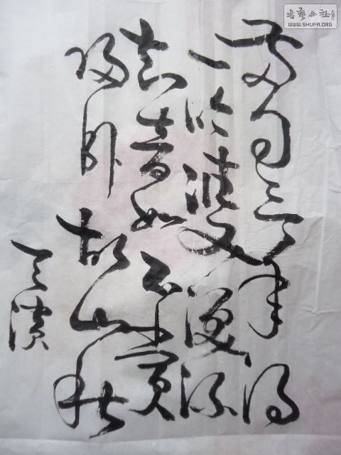 DSC07093.JPG