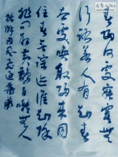 SAM_0164_1.jpg