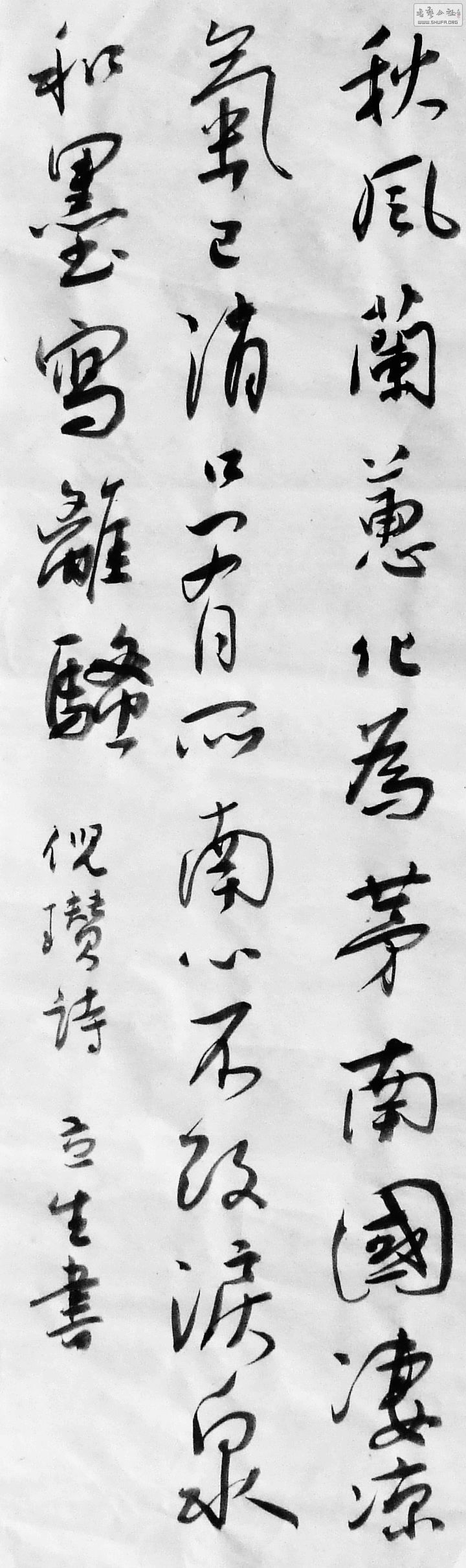 DSCF2955.JPG