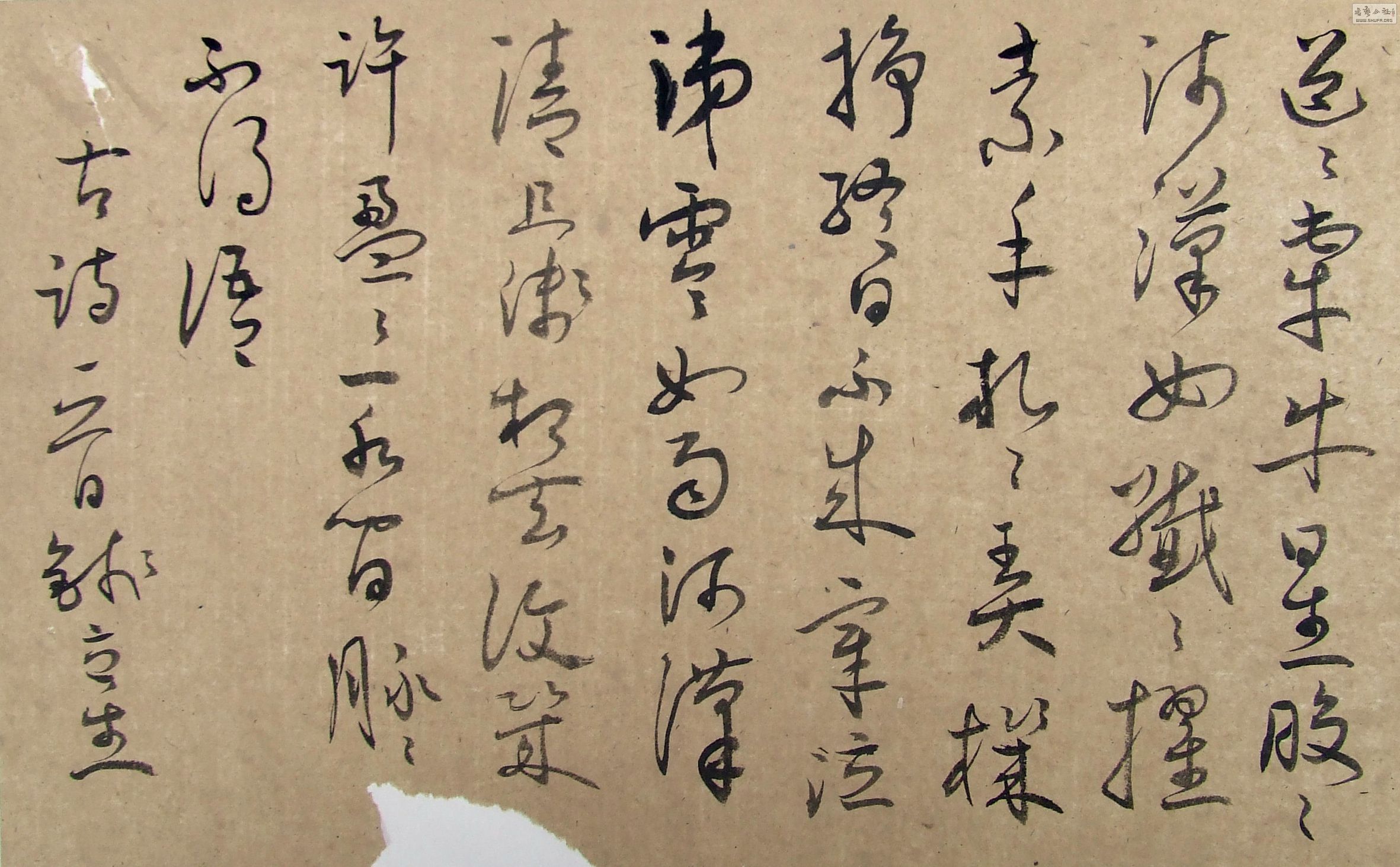 DSCF3061.JPG