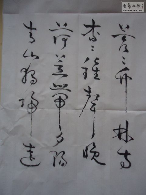 DSC07268.JPG