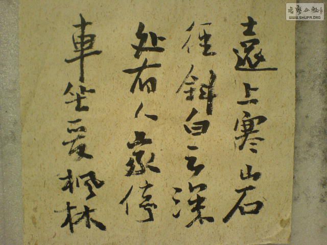 DSC01198.JPG