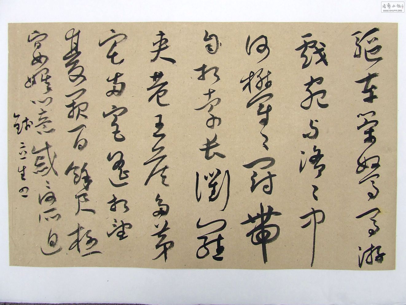 DSCF3046.JPG