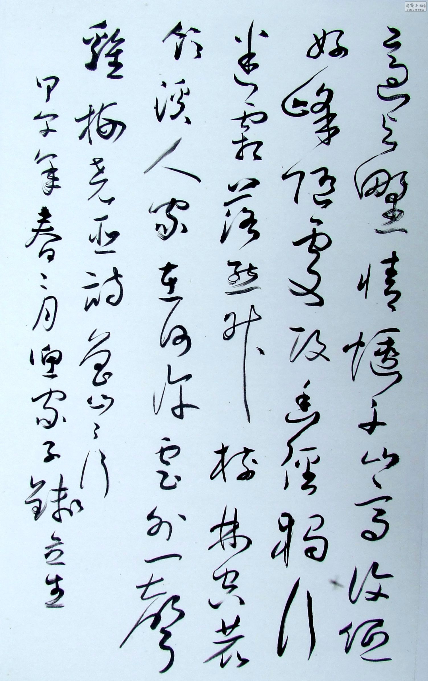 DSCF3049.JPG
