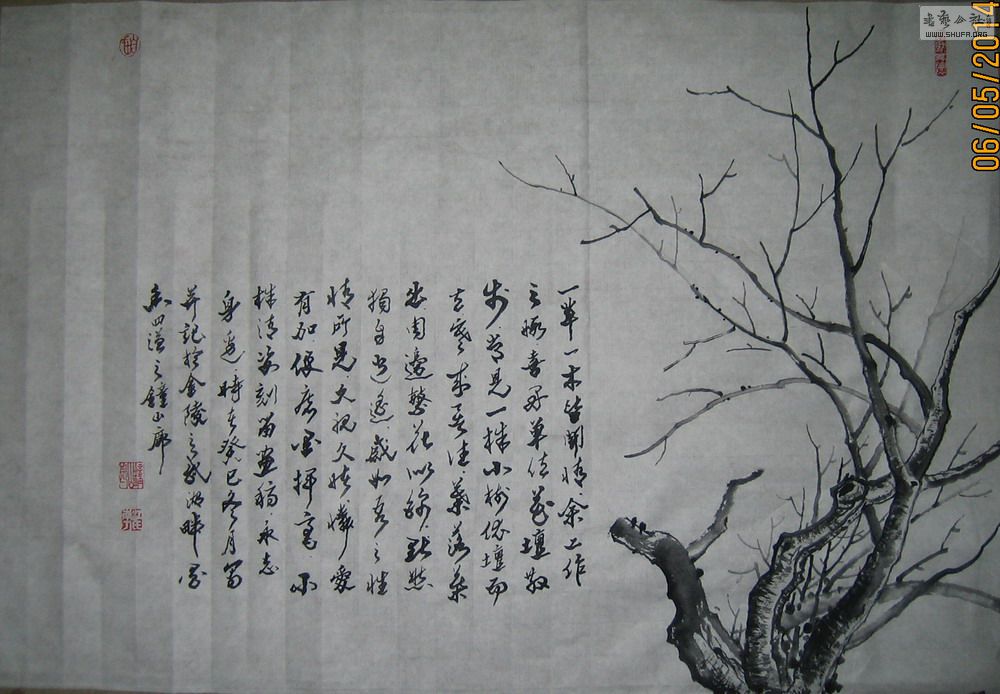 ɽ鷨-̳С.JPG