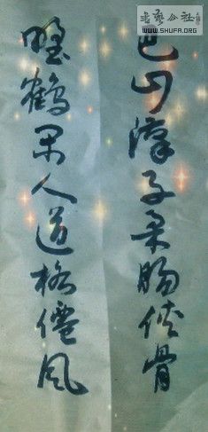 SAM_0219_1.jpg