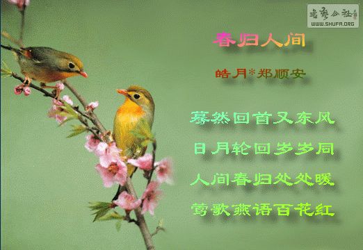 ˼.jpg