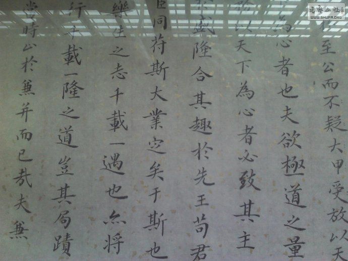 001kIW9dgy6IFtMmG0Tcf&amp;690.jpg
