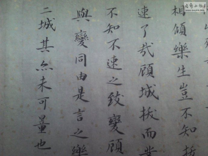 001kIW9dgy6IFtTStra68&amp;690.jpg