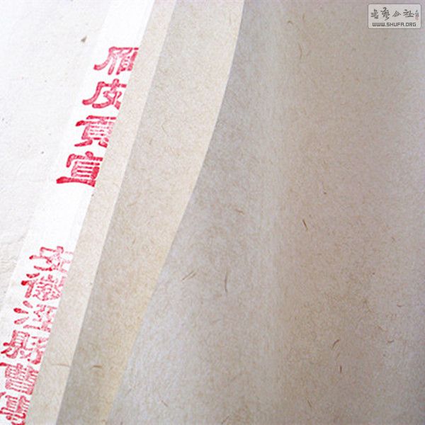 DSC01520__.jpg