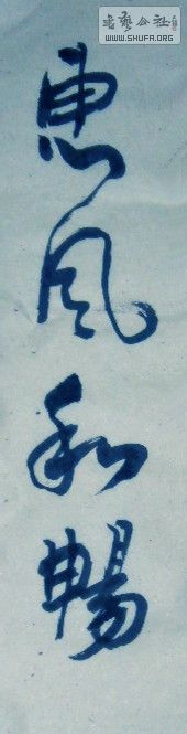 SAM_0557_.jpg