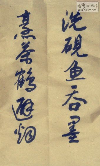 SAM_0016_1.jpg