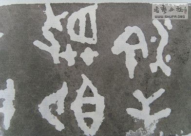 S73R0161_.jpg