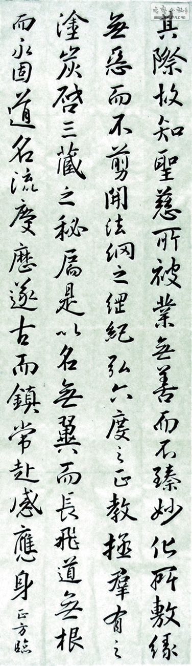 10142aa.jpg