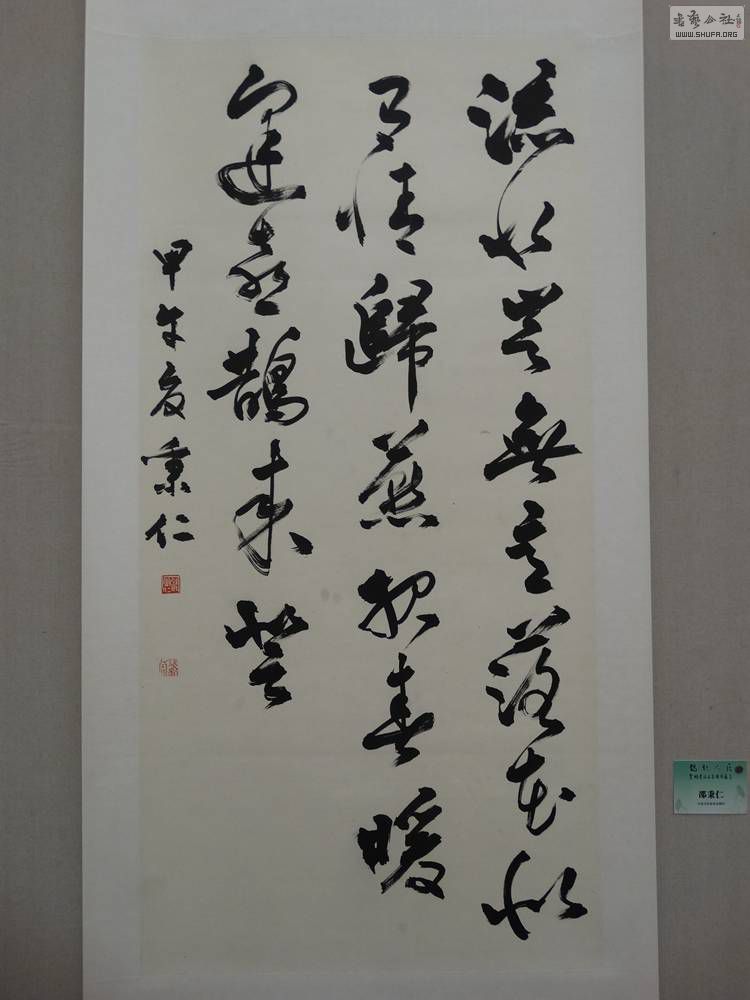 DSC04486.jpg
