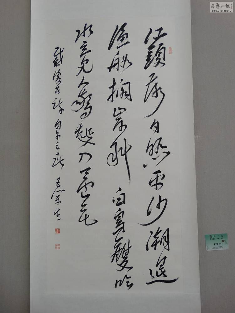 DSC04502.jpg